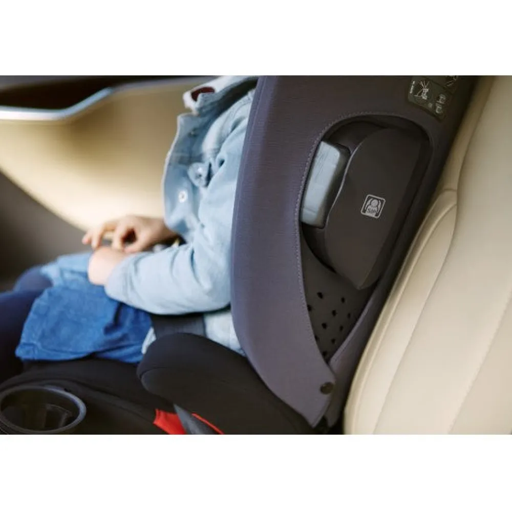 AACE Booster Seat