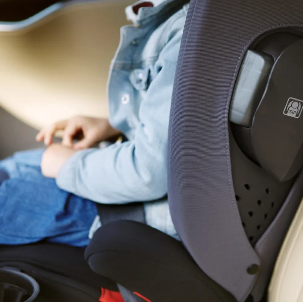 AACE Booster Seat
