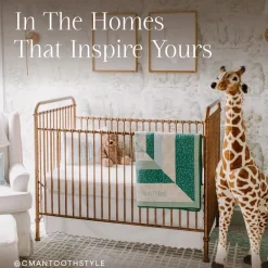 Abigail 3 in 1 Crib