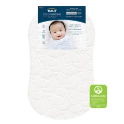 Bassinest 3.0 + FR-Free Mattress Bundle