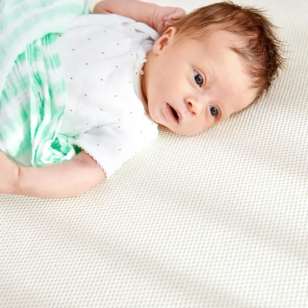 Bassinest 3.0 Soothe + FR-Free Mattress Bundle