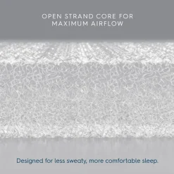 Bassinest 3.0 Soothe + FR-Free Mattress Bundle