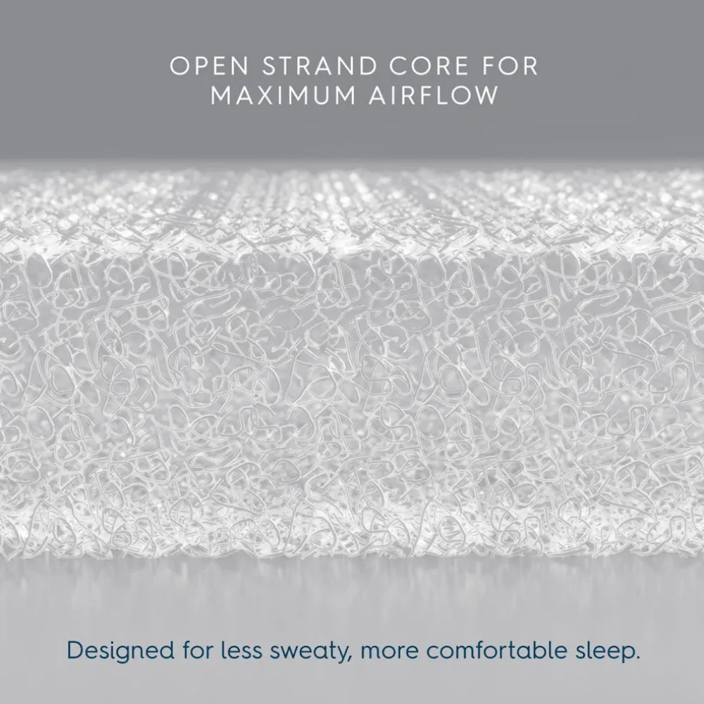 Bassinest 3.0 Soothe + FR-Free Mattress Bundle