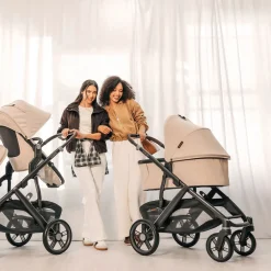 Bassinet V3