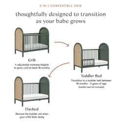 Bondi 3-in-1 Convertible Crib with Toddler Bed Conversion Kit