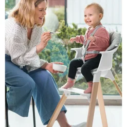 Clikk High Chair