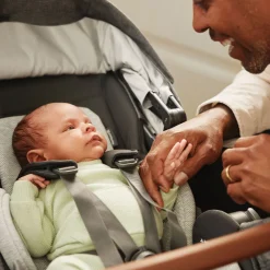 Cruz V3 Stroller