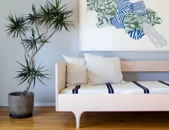 Divan Twin Bed