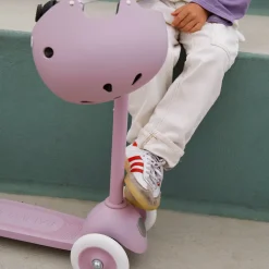 Eco Scooter