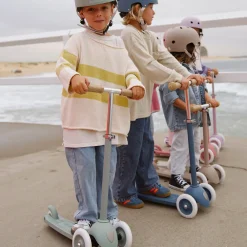 Eco Scooter