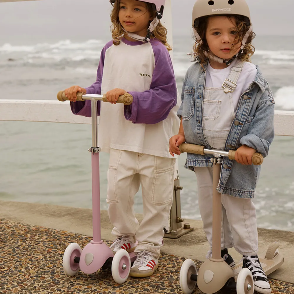 Eco Scooter
