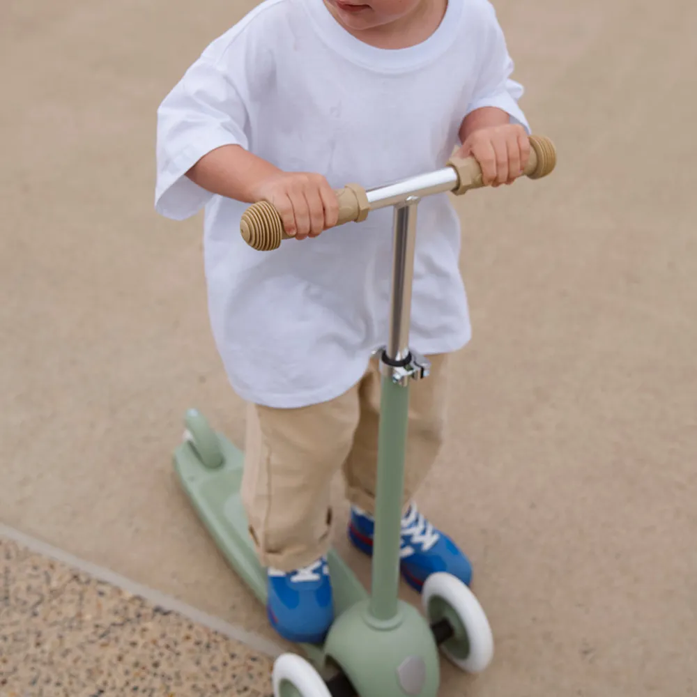 Eco Scooter