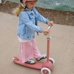 Eco Scooter