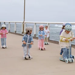 Eco Scooter