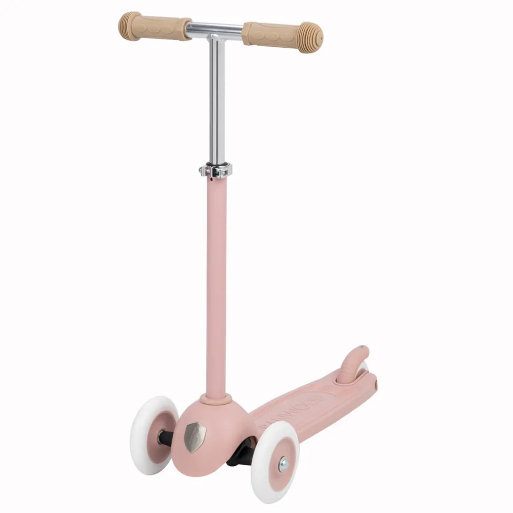 Eco Scooter