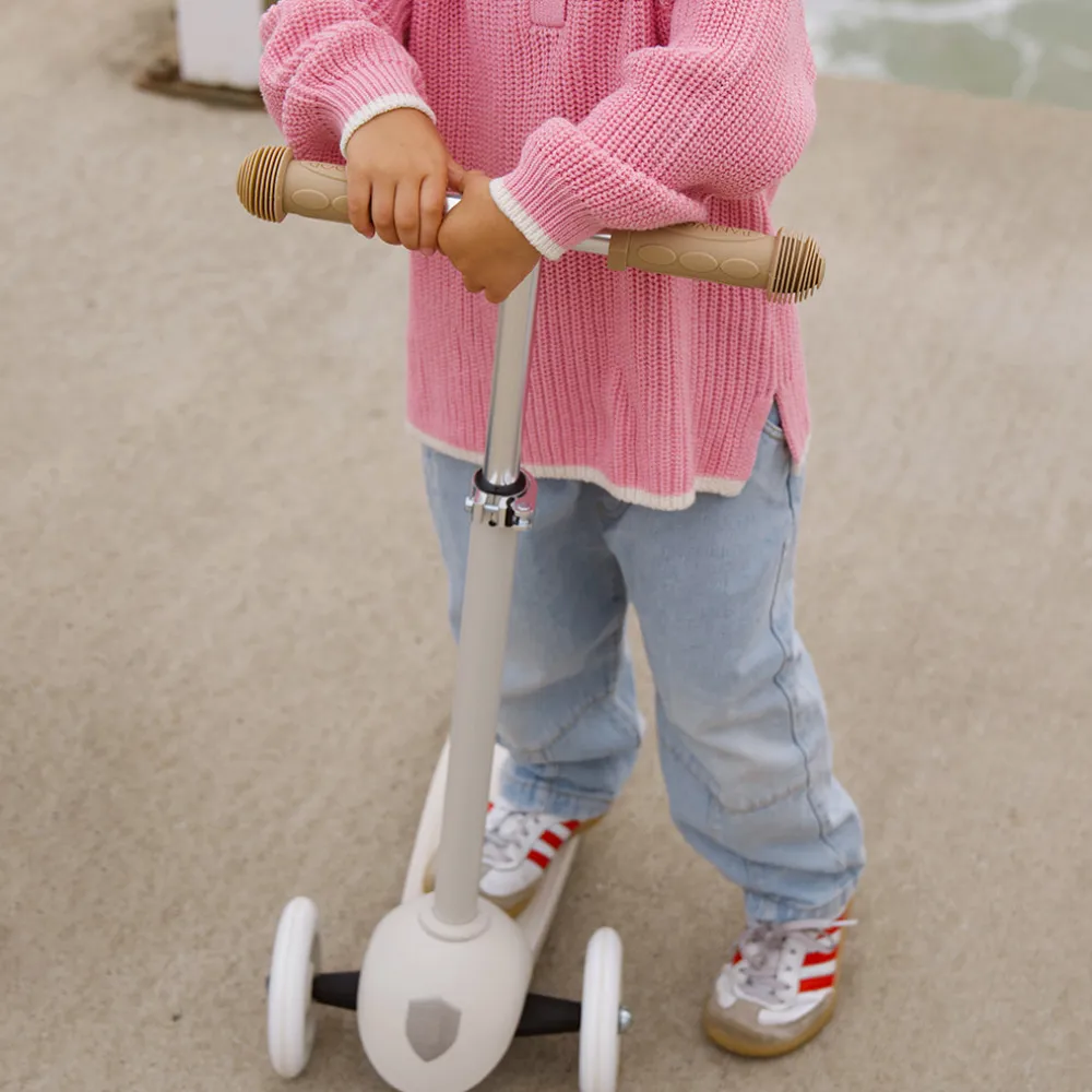 Eco Scooter