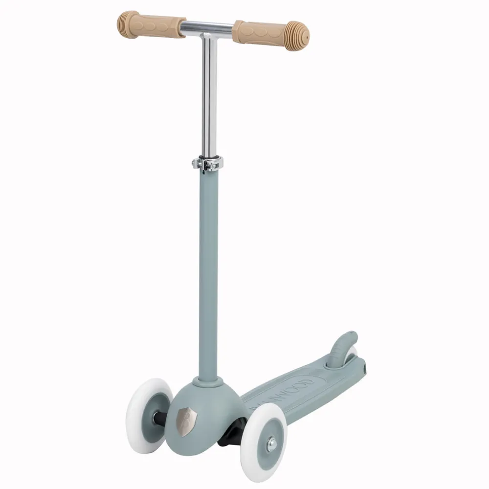 Eco Scooter