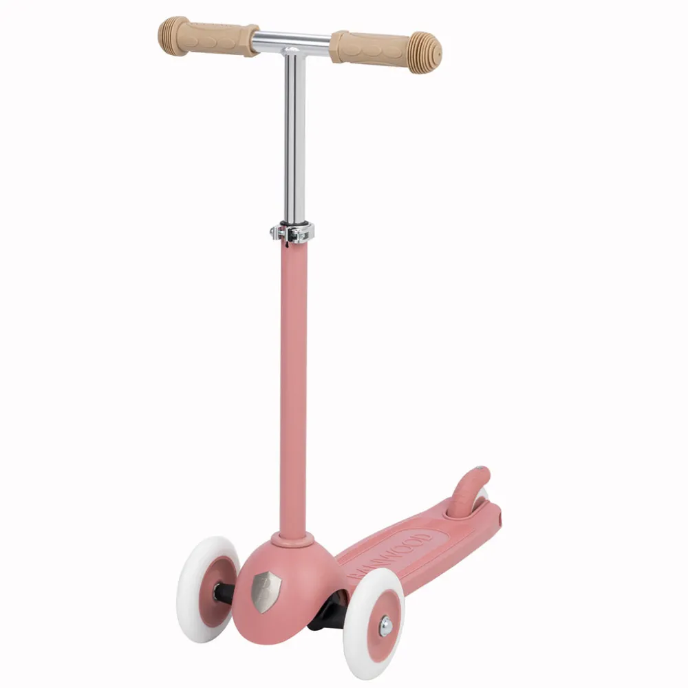 Eco Scooter