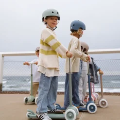 Eco Scooter