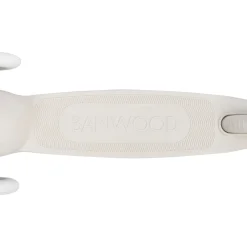 Eco Scooter