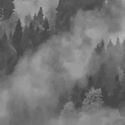 Foggy Hills Mural