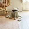 Fred the Frog Basket