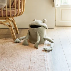 Fred the Frog Basket