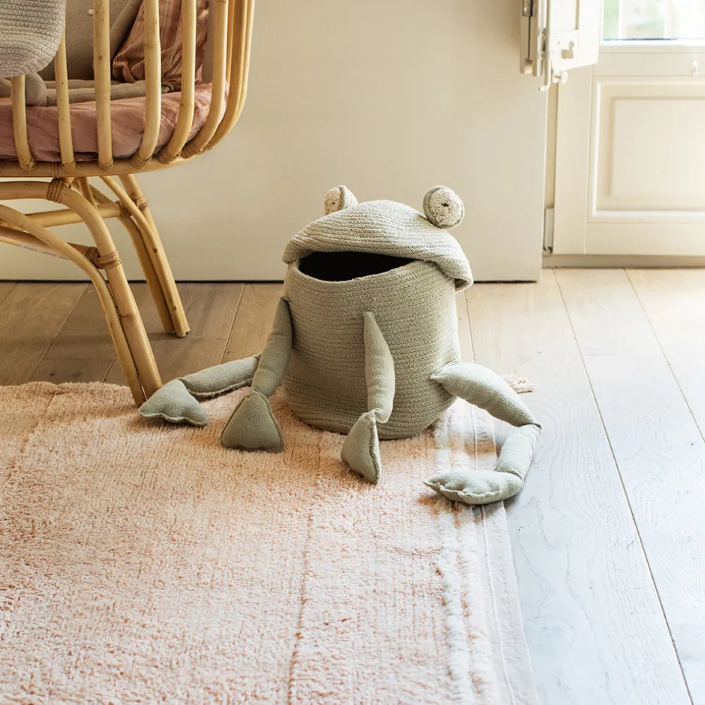 Fred the Frog Basket