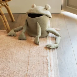 Fred the Frog Basket