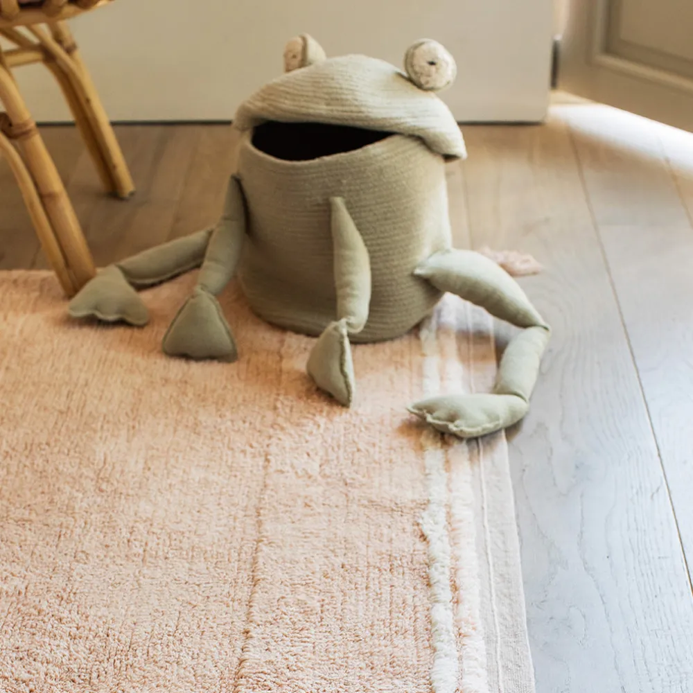 Fred the Frog Basket