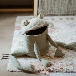 Fred the Frog Basket