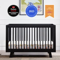 Hudson 3-in-1 Convertible Crib + Toddler Rail