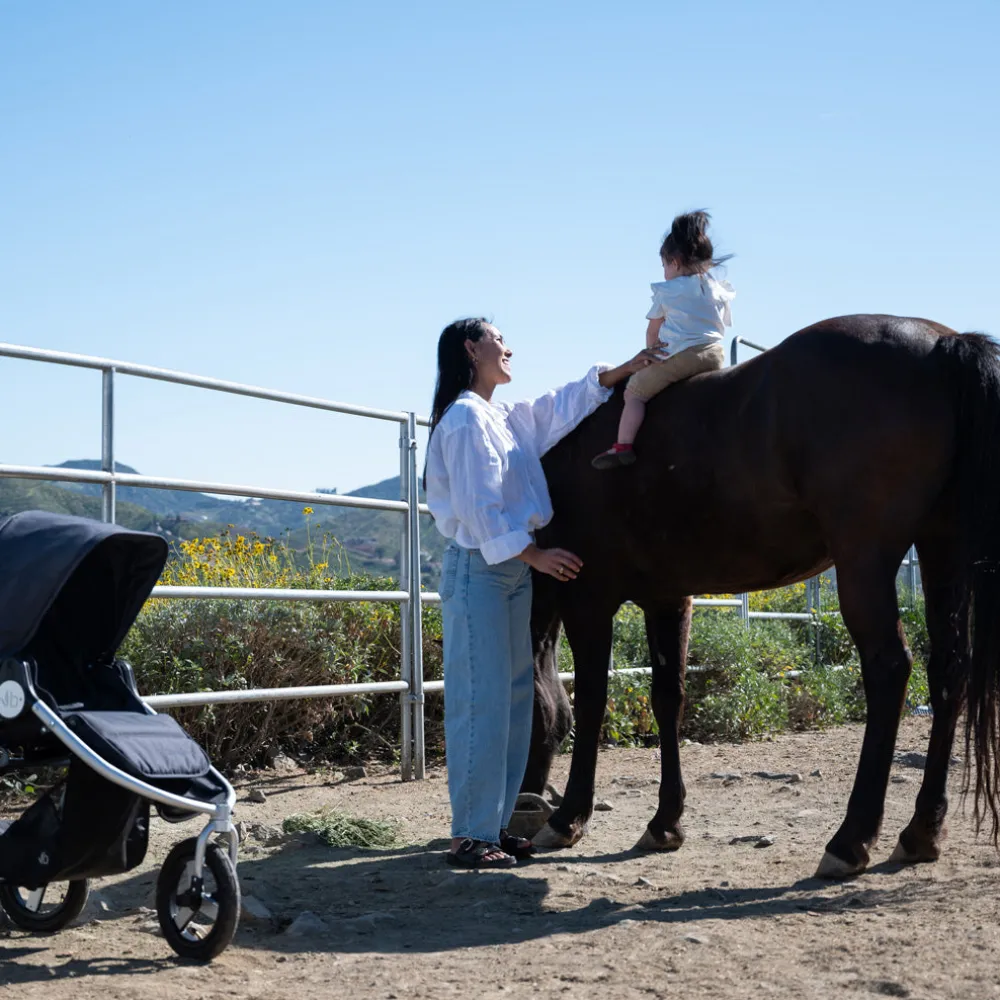 Indie Stroller