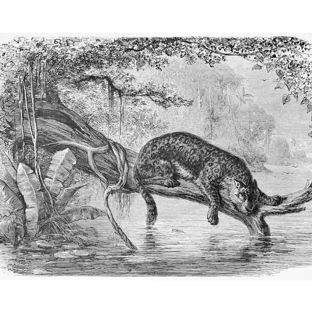Jaguar Mural