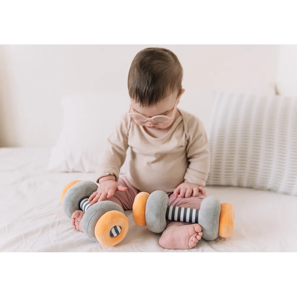 Little Lifter Plush Weights