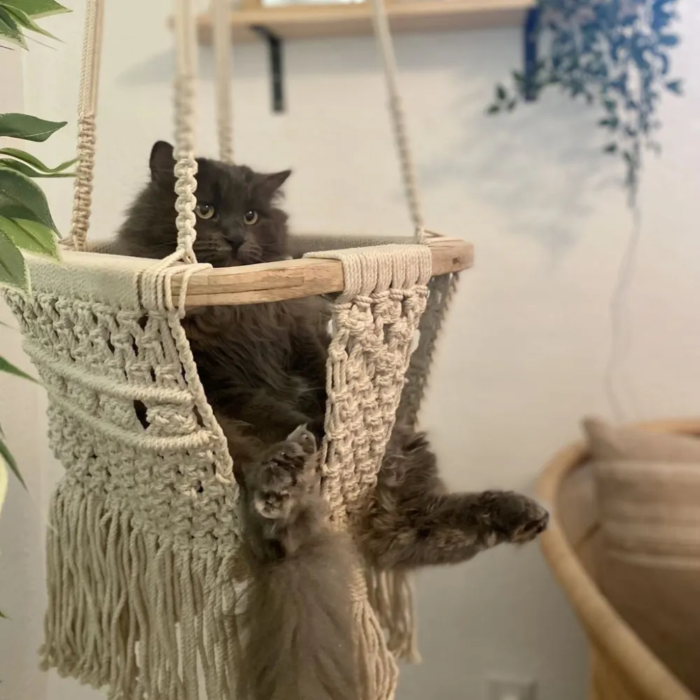 Macrame Swing