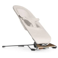 Mira 2-in-1 Bouncer & Seat