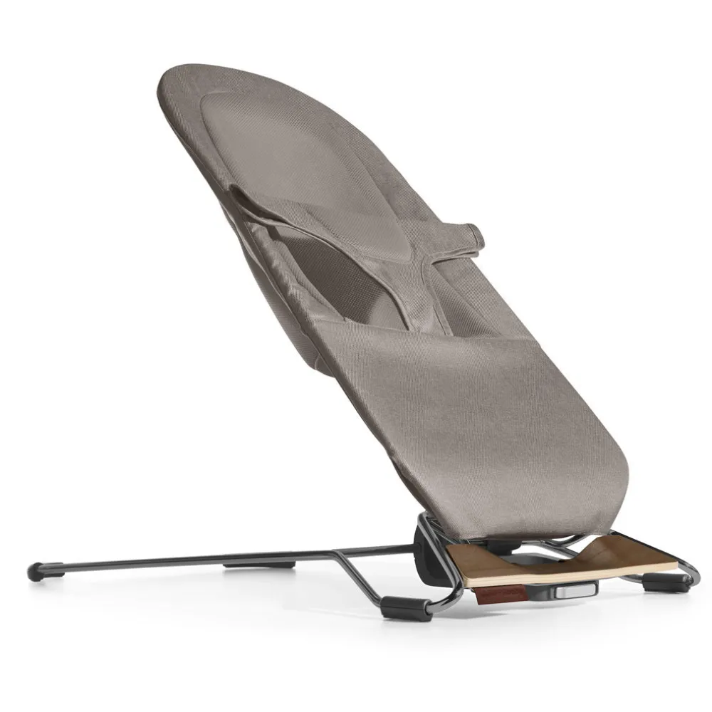 Mira 2-in-1 Bouncer & Seat