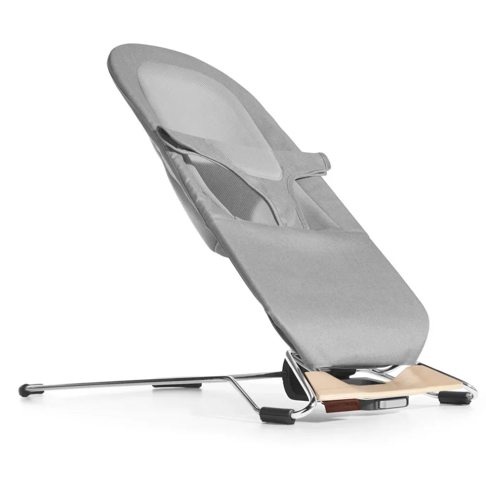 Mira 2-in-1 Bouncer & Seat