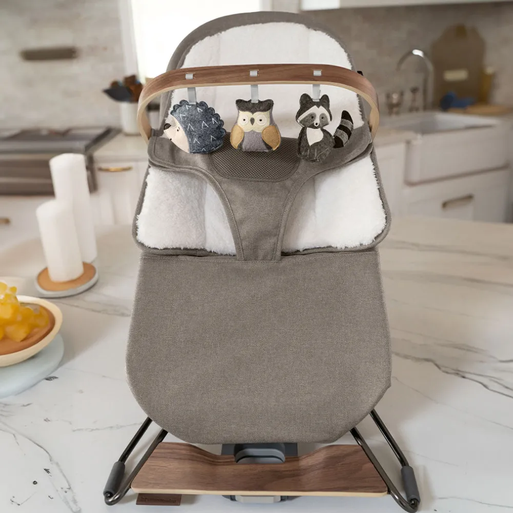 Mira 2-in-1 Bouncer & Seat