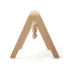NAHO Activity Arch