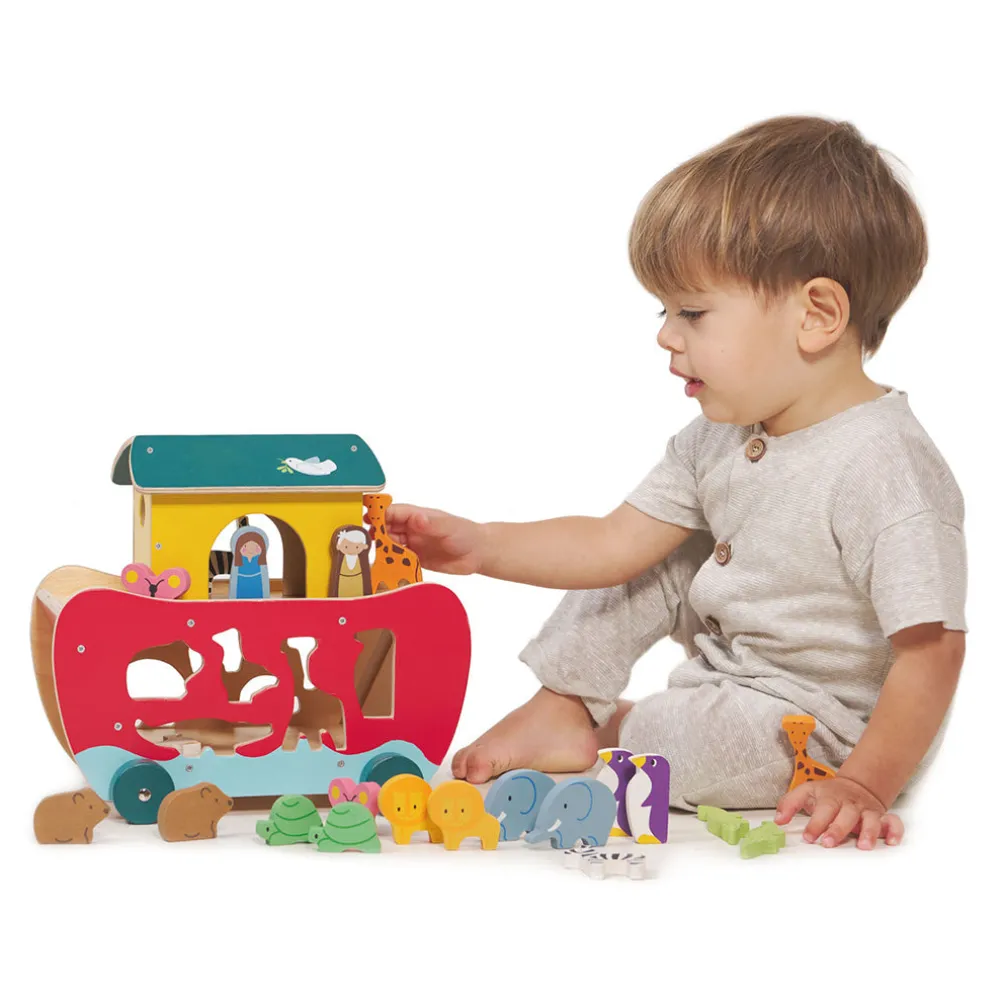 Noah's Shape Sorter Ark