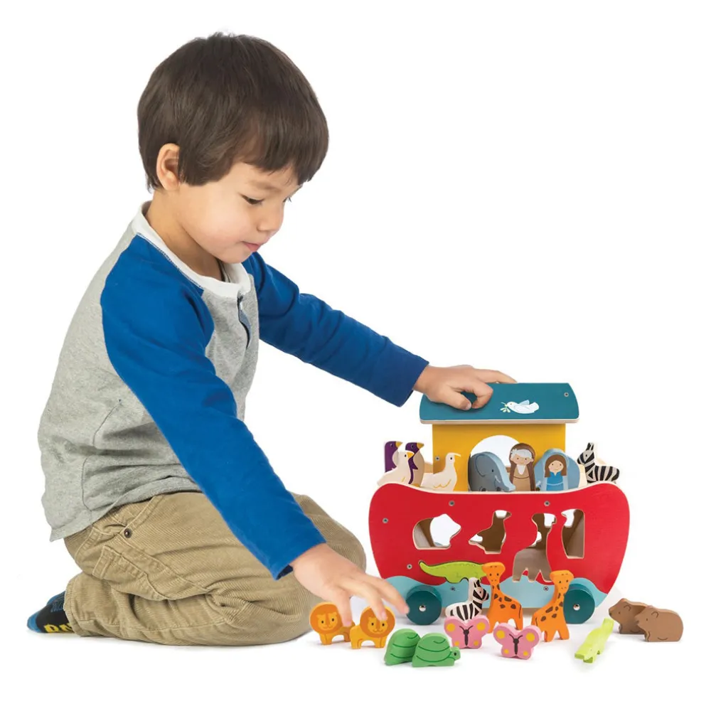 Noah's Shape Sorter Ark