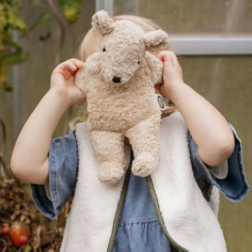 Organic Bear Cuddly Animal