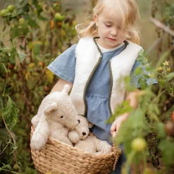Organic Bear Cuddly Animal