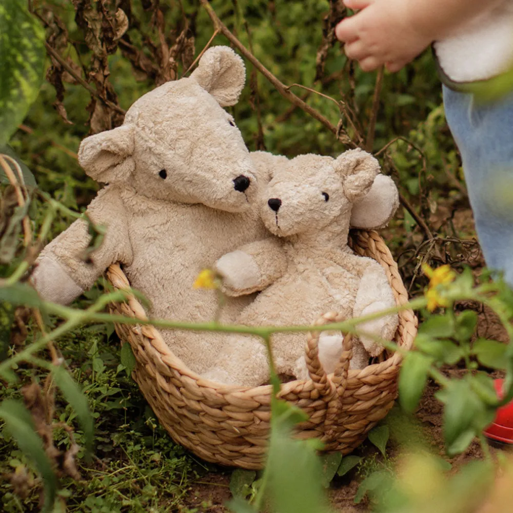 Organic Bear Cuddly Animal