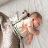 Organic Chicken Cuddly Animal