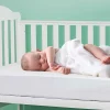 Organic Cotton Jersey Crib Mattress Protector Pad