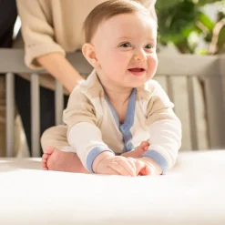 Organic Crib Mattress