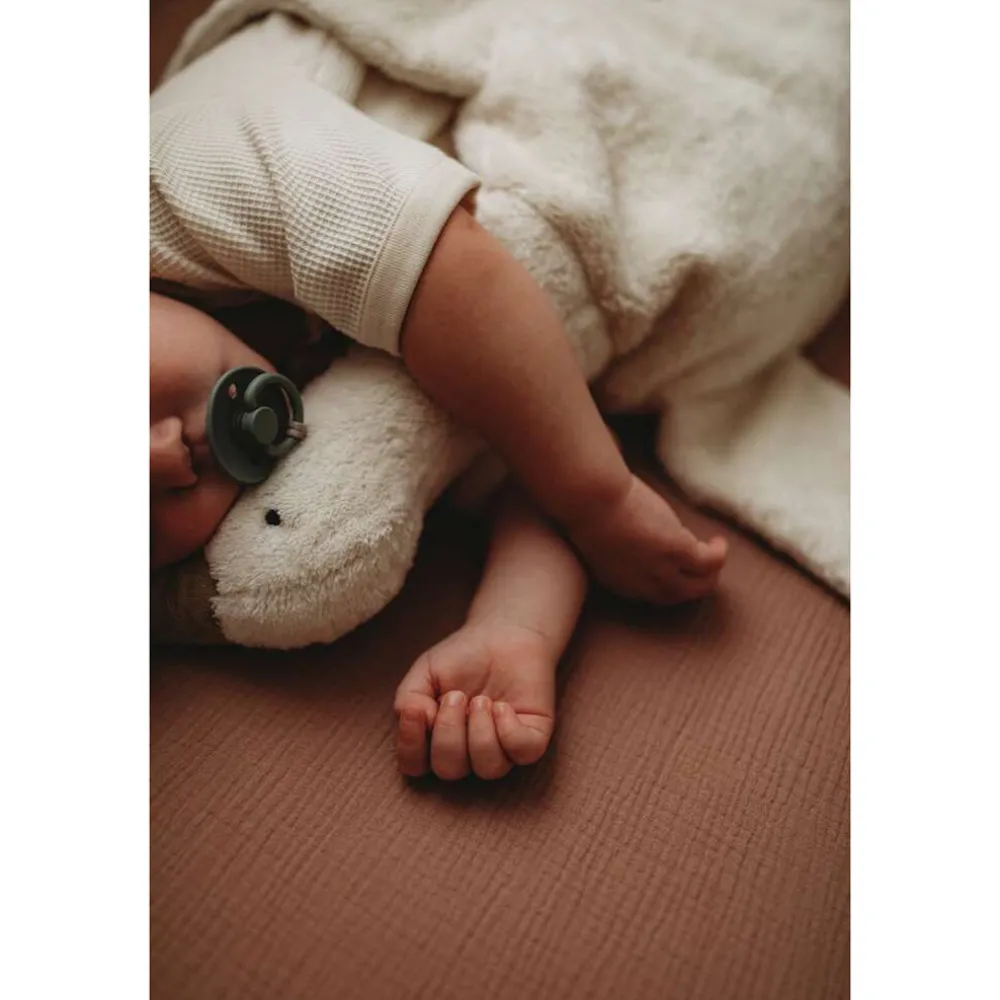 Organic Cuddly Animal